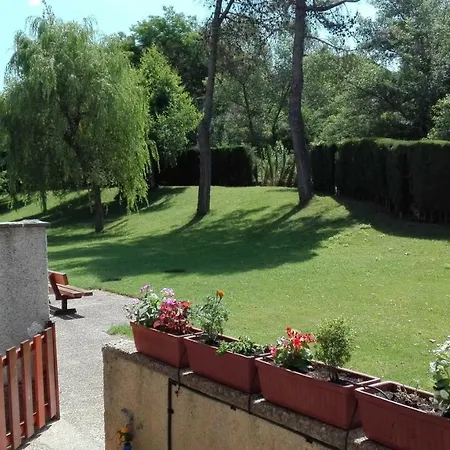 La Terraza Del Sauce * Jaca
