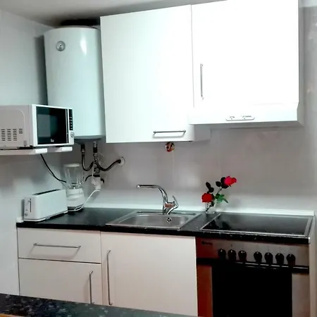 La Terraza Del Sauce Appartement Jaca