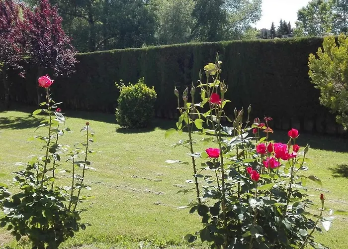 La Terraza Del Sauce * Jaca